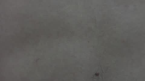 Abbie 18 years - Joe 18 years - Rose 18 years - Cristopher 20 years online show from May 30, 1:25 am
