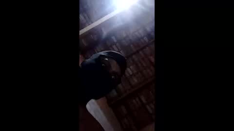 bittencourtgabriel online show from April 22, 3:09 am