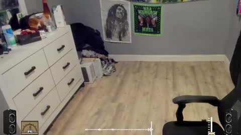 Snapshot of blaccanalmatters chatting on October 17, 11:29 pm Plant Base Streamers From Pennsylvania online show from October 17, 11:29 pm