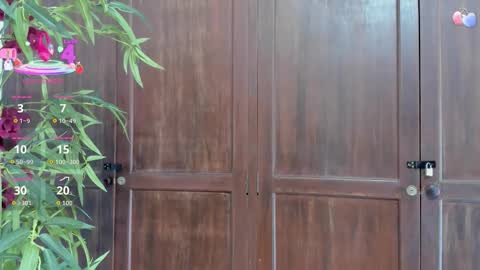 B L A C K  R O S E  online show from October 4, 11:30 am