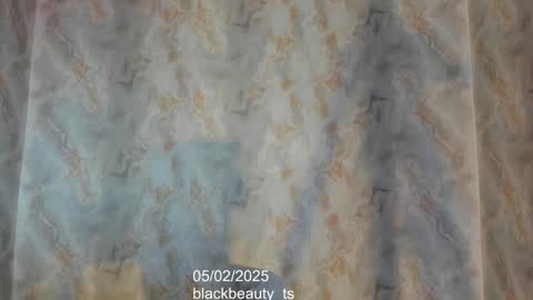 Snapshot of blackbeauty_ts chatting on February 5, 2:59 pm Nina online show from February 5, 2:59 pm