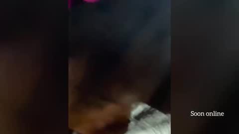 Snapshot of blackdominion chatting on December 3, 3:58 am Lilly and Bryson online show from December 3, 3:58 am
