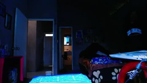 Black Panther online show from March 21, 11:15 am