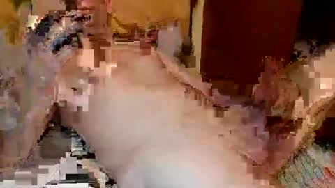 blagoy07 online show from December 15, 11:09 pm