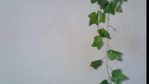 nikky00 online show from March 8, 6:50 am