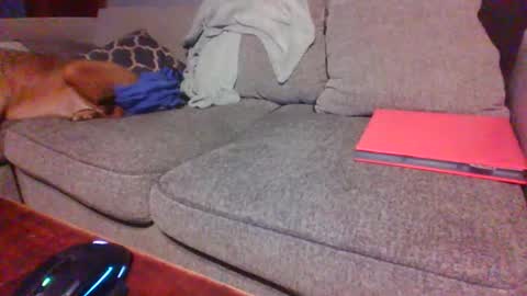 blaw_1321 online show from December 1, 2:05 am