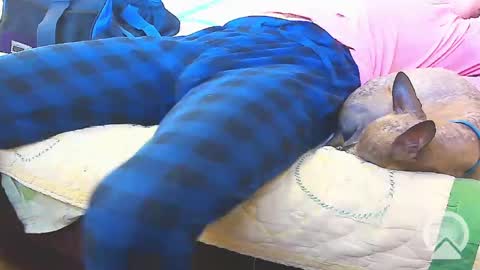 First Time College Boy online show from February 13, 10:00 pm