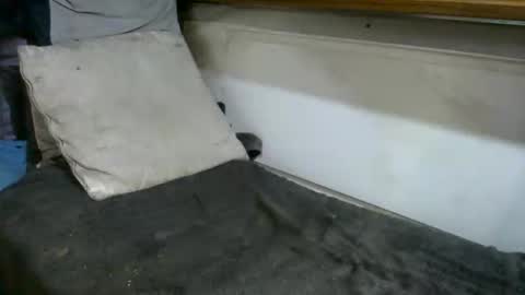 boatfun56 online show from February 12, 11:00 pm