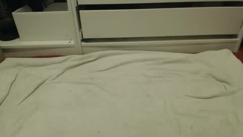 bobbuild online show from January 31, 8:40 pm