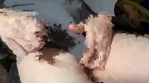 Heath online show from March 3, 1:53 pm