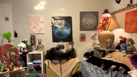 Snapshot of bobbyq2969 chatting on November 13, 3:38 am bobbyq2969 online show from November 13, 3:38 am