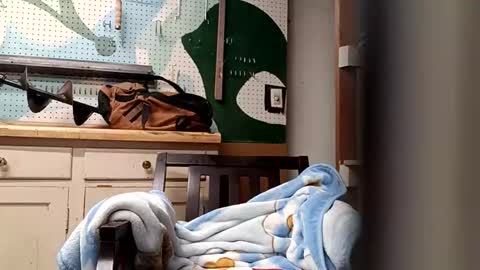 bobmarleybd1420 online show from April 11, 10:08 am