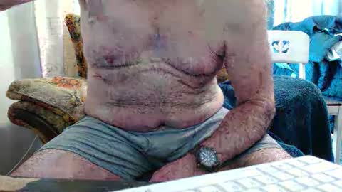 bolbil1 online show from February 1, 6:28 pm