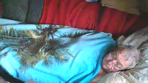 Bomber59potsdam online show from January 25, 11:02 am