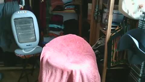 Bombero56 online show from December 15, 3:16 pm