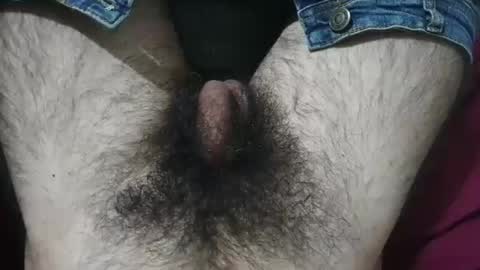 Snapshot of bomvemcam chatting on April 29, 9:02 am Im Bom - Tip if You Liked my Hairy Body - Private Show is Open - Read more about me in the bio below online show from April 29, 9:02 am