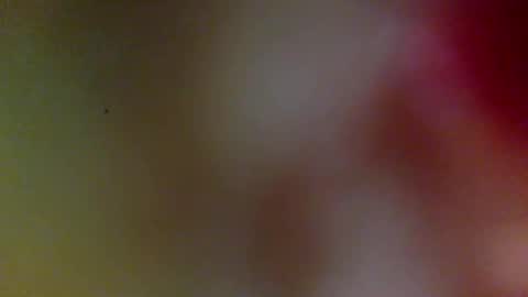 bonershow online show from February 9, 11:36 am