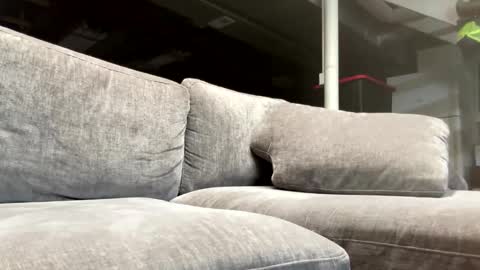 bongripingclitlicker online show from October 23, 2:22 am