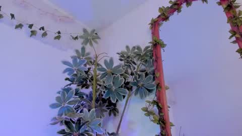   online show from March 19, 12:25 am