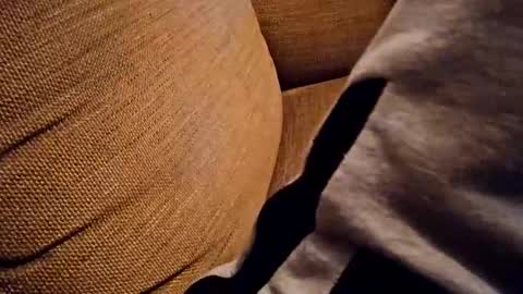 Snapshot of bonny8723 chatting on October 18, 7:25 pm bonny8723 online show from October 18, 7:25 pm