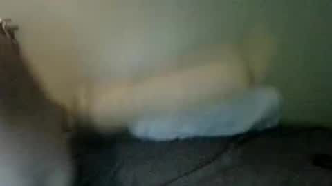 Snapshot of booboobumbum1 chatting on June 9, 7:14 pm booboobumbum1 online show from June 9, 7:14 pm
