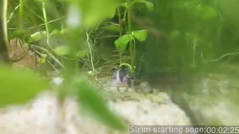 Booker Baxton online show from February 14, 4:09 am