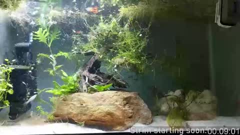 Booker Baxton online show from February 22, 4:02 am