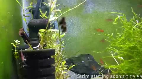 Booker Baxton online show from April 3, 3:04 am