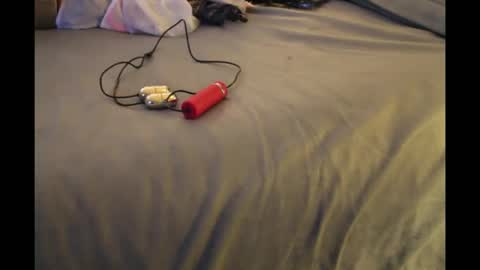 Bookwormzzy2a online show from December 21, 11:50 am