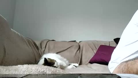 Dan online show from April 15, 1:29 pm