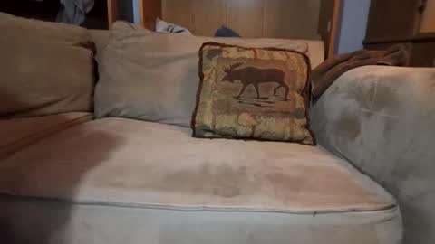 smoothslutfordaddy online show from February 9, 4:05 am