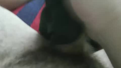 bpllpd online show from December 23, 12:41 am