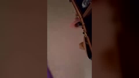 brandon281997 online show from June 17, 2:36 am