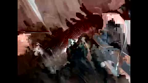 Snapshot of bricchicago chatting on February 22, 3:45 am bricchicago online show from February 22, 3:45 am