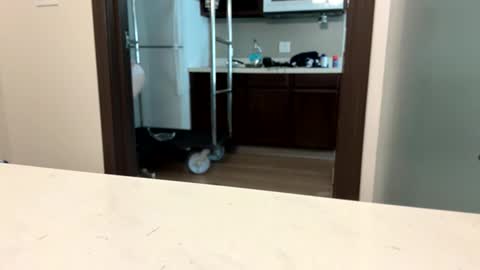 brickmeup online show from April 8, 10:32 pm