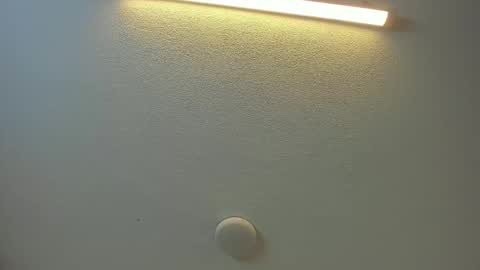 Brittany  online show from February 8, 8:45 pm