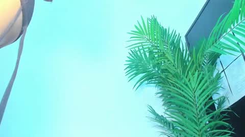 BRIYIT     online show from January 10, 5:58 am