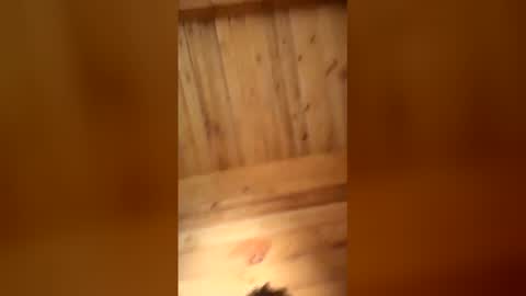 bbc online show from January 16, 11:25 am