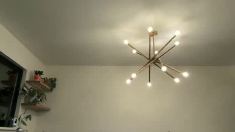 Bruce online show from April 12, 4:39 am