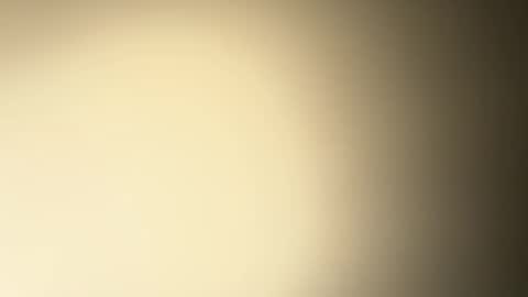 BRUCE online show from December 26, 2:33 am