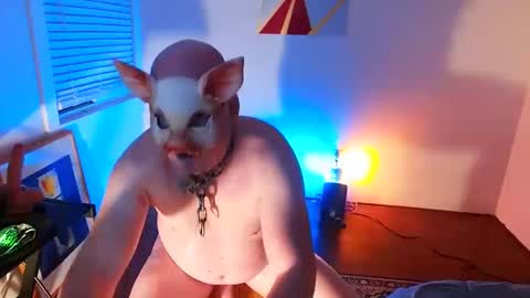 bottom freak online show from February 8, 10:29 am