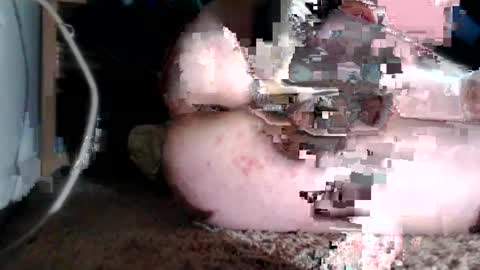 Snapshot of bubblebuttnnut chatting on June 11, 1:38 am bubblebuttnnut online show from June 11, 1:38 am