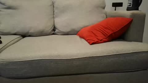 Buck online show from September 23, 2:42 pm