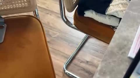 bucky58 online show from February 16, 3:30 pm