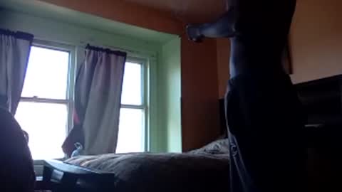 Snapshot of buddylovex chatting on November 4, 4:39 pm buddylovex online show from November 4, 4:39 pm