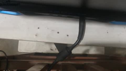 Snapshot of buldgeinboxer chatting on January 18, 5:33 am buldgeinboxer online show from January 18, 5:33 am