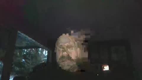 Snapshot of bulldog302w chatting on February 2, 10:41 pm bulldog302w online show from February 2, 10:41 pm