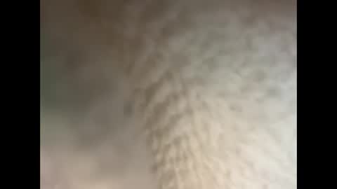 bull cub online show from December 5, 11:40 pm