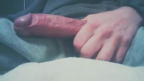 Dutch cock online show from December 27, 8:24 am