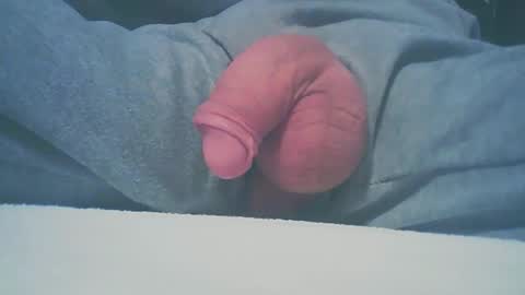 Dutch cock online show from January 11, 8:33 am